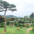 아라애견 이미지