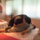 성심안마원 이미지