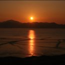 순천만둥지 이미지