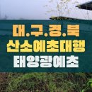 월명1호 태양광발전소 | 대구·성주 벌초대행(김천태양광발전소 벌초작업2)