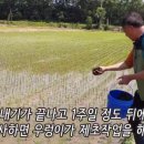 해뜨는농원 이미지