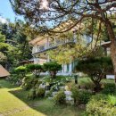 비발디 스케치북 이미지