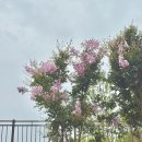 나이프로 그려보는 백드롭페인팅 | 다이소 재료로 집에서 백드롭페인팅 해보기🌟 오천원으로 취미 미술 도전🫧