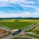 성장목장 이미지