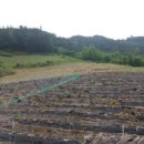 행복나무공인중개사사무소 이미지