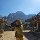 들목주 | 가을여행추천2: 신흥사 템플스테이 다녀왔어요! 신흥사/템플스테이/속초여행