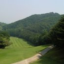 파인회원권거래소 이미지