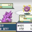 무지개체육관 이미지