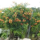 벧엘교회 이미지