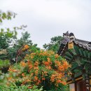 공원로352번길 이미지