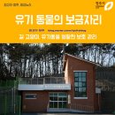 청주시 반려동물보호센터 이미지