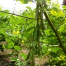 나무해담 이미지