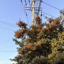 태흥중동로 이미지