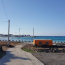 도리민박 이미지