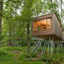 트리하우스 이미지