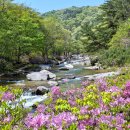 분설담화장실 이미지