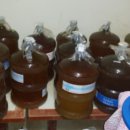 우두령민박 이미지