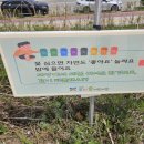 이안뜰어린이집 이미지