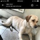 펫홈반려동물용품구월점