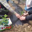 우일농장 이미지