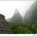 ?미국 하와이 여행(16) - 마우이섬 이아오 밸리 - 이미지