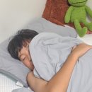모아이불 - 동래구 충렬대로100번길 97 | 땀 많은 아이 통잠 자게 만든 비결, 디센느 듀라맥스 에어 냉감이불 솔직후기