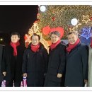 수원 화성행궁 광장 이미지