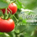 김인성농장 네이버블로그