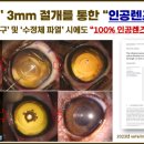 청담눈초롱안과동물병원 이미지