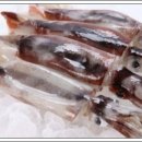 뿌리요양병원 이미지