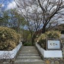 민들레애견 이미지