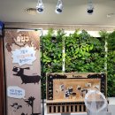 김천시청 화장실(3층) | [프렌쥬 쓰담쓰담동물원 그림자상상놀이터 체험] 김천 방문후기 김천문화예술회관