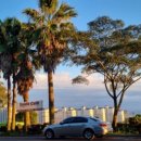 사우쓰캘리 이미지