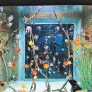 다누리센터 아쿠아리움 이미지