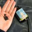 번암농장 이미지