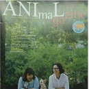 애니팜약국 이미지