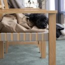 군산시농업인회관3층 | 카페 GCC / 군산 반려견 동반 카페