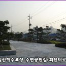 일산수산물판매센터 Daum카페