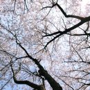 중대물빛공원 이미지