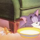 톰과제리 이미지