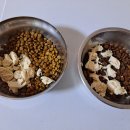 보리네펫미용 이미지