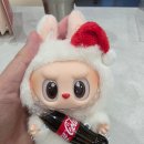 ［고산］옷잘입는강아지 펫패션 | 무신사 블랙퍼플 오버로드 카고백 실물 사용후기 , 보부상가방과 헬스가방 으로 추천