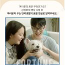 어바웃 댕댕 이미지