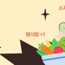 개구리 좋아해?🐸 이미지