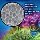 해조하우스 이미지