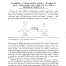 [짧은 약 이야기] Loratadine vs Desloratadine 이미지