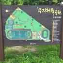 수지체육공원 농구장 이미지