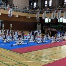 신-코리아태권도 이미지