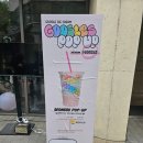 구슬스(Goosles) 이미지