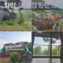 대봉사슴 | &lt;함양 대봉캠핑랜드&gt; 휴양림계의 에버랜드?예약방법, 대나무1호, 사슴벌레, 장수풍뎅이